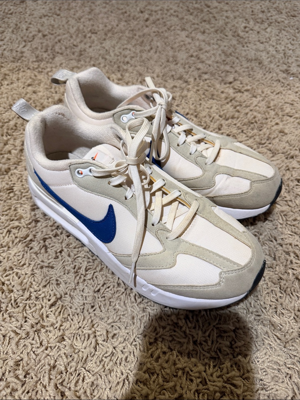 Nike Blue Swoosh Low-Top Trainers